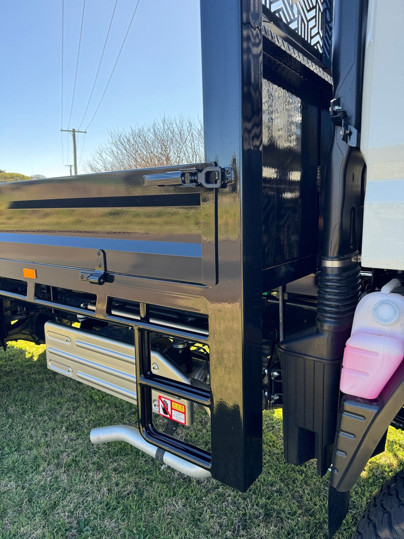 Load image into Gallery viewer, DMW Premium Steel Truck Tray - DMW