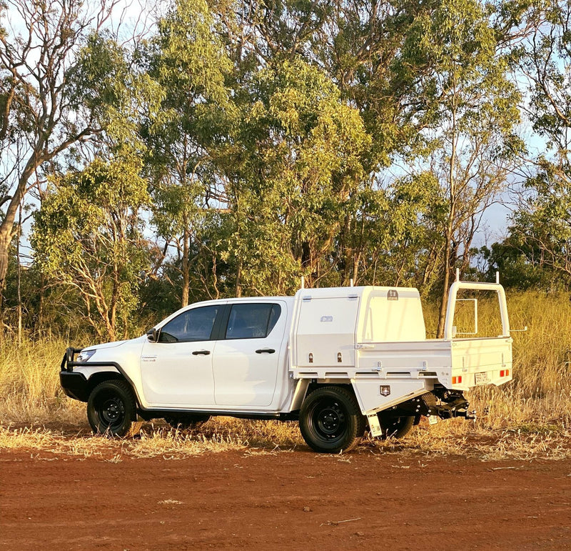 Load image into Gallery viewer, DOG BOXES - DMW